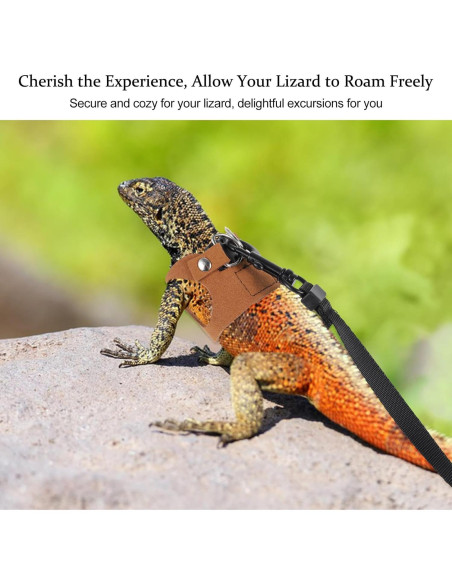 Juego de Arnés y Correa Ajustable Quilax para Dragón Barbudo