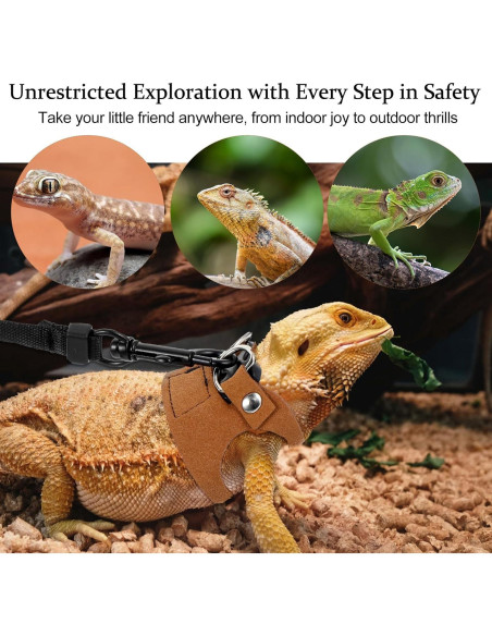 Juego de Arnés y Correa Ajustable Quilax para Dragón Barbudo