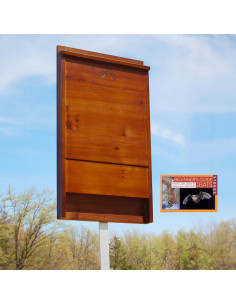 Kit Casa para Murciélagos BestNest con Poste y Libro, 100 Murciélagos 2