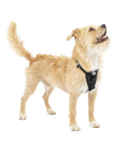 Arnés para Perros Kurgo Tru-Fit Smart X-Pequeño Negro