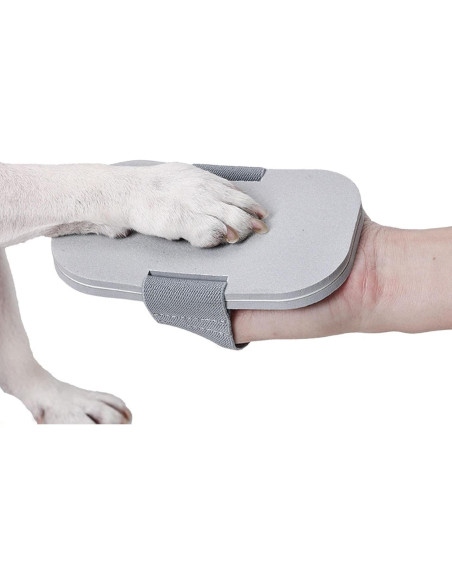 Tabla de Raspado de Uñas para Perros HYBEW 15x9cm