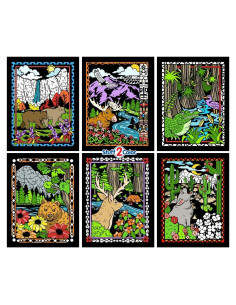 Póster de Colorear Parques Nacionales 6 Pack Stuff2Color