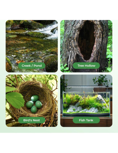 Cámara de Endoscopio Recargable para Niños G21 Verde Pale