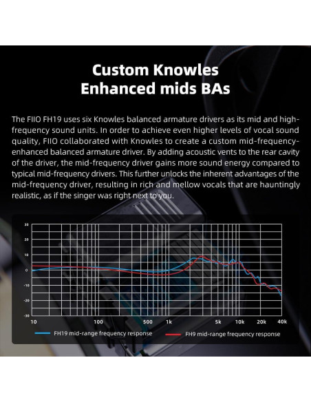 Auriculares IEM FiiO FH19 HiFi 2 Dinámicos + 6 BA Desmontables