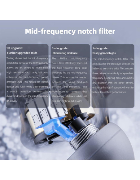 Auriculares IEM FiiO FH19 HiFi 2 Dinámicos + 6 BA Desmontables