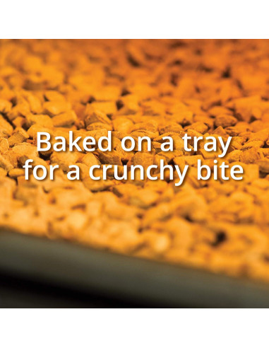 Galletas Crujientes para Gatos Catit Nibbly Pollo 89.78g