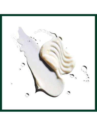 Acondicionador Hidratante Aveda Nutriplenish 50 ml - Viaje