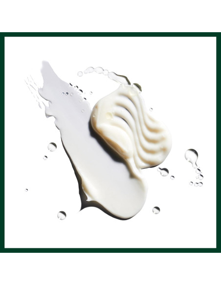 Acondicionador Hidratante Aveda Nutriplenish 50 ml - Viaje