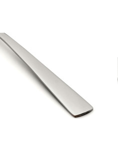 Set de Cubiertos para Ensalada Oneida Nocha 2 Piezas Acero Inoxidable 2