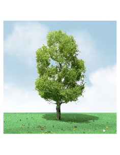 Árboles de Abedul JTT 10 cm - Paquete de 2 para Modelismo