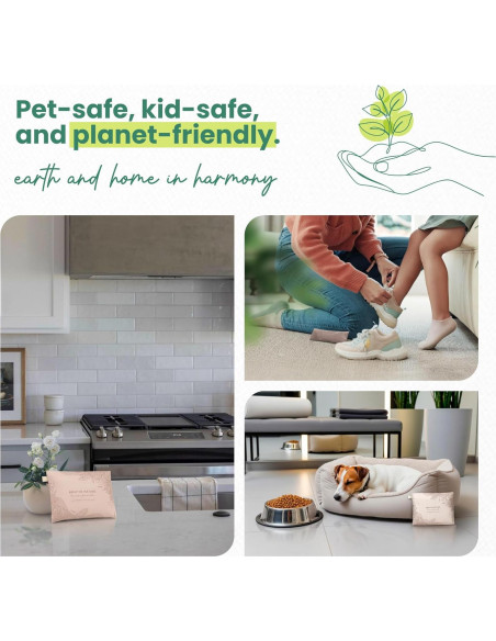 Absorbente de Olores Roonin Carbón Activado 5 Unidades 200g