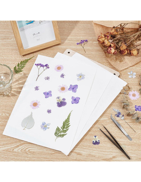 Papel Absorbente para Prensado de Flores OLYCRAFT 50Pcs 30.5x20.3cm