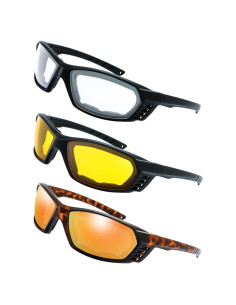 Gafas de Motocicleta The Fresh FR13 UV400 Acolchadas