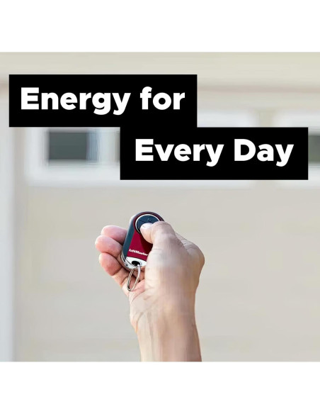 Batería de Reemplazo para Control Remoto de Puerta de Garaje Elite