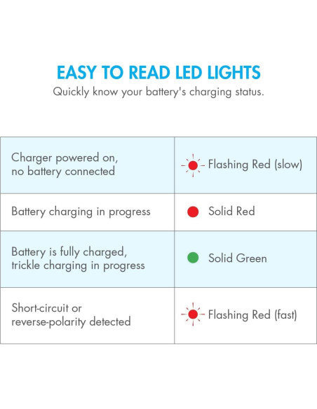 Batería Tenergy 9.6V 1600mAh NiMH Stick + Cargador Mini Tamiya