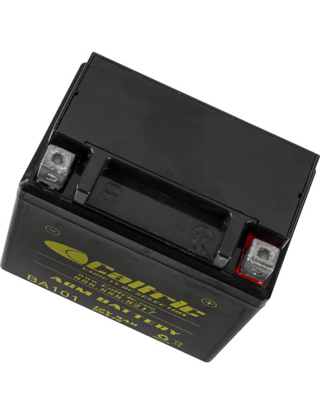 Batería AGM Caltric 12V para Honda TRX90 2006-2016
