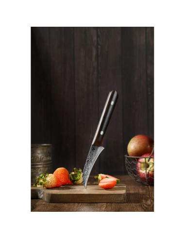 Cuchillo de Pelar ARTIDGE 3.5" Acero Damasco Mango Madera