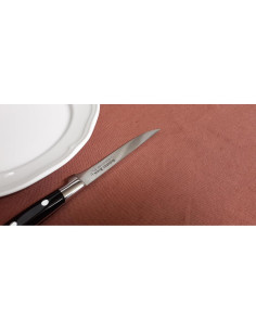 Set de 4 Cuchillos de Carne Sabatier Frres 22.35 cm 2