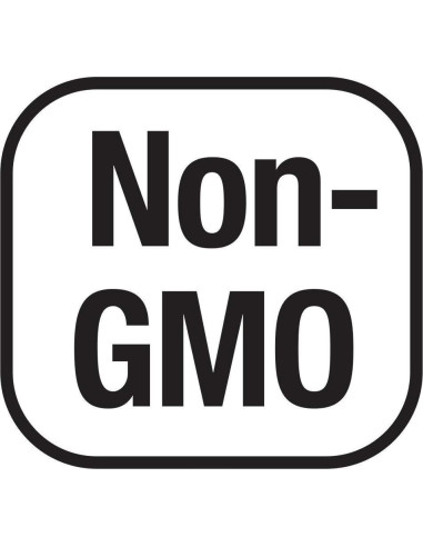 Now L-Glutamina 500mg 300 Cápsulas Veganas - Suplemento No-OGM