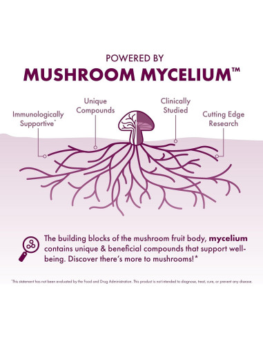 Polvo de Hongo Cola de Pavo Host Defense 99.22 g - Salud Digestiva