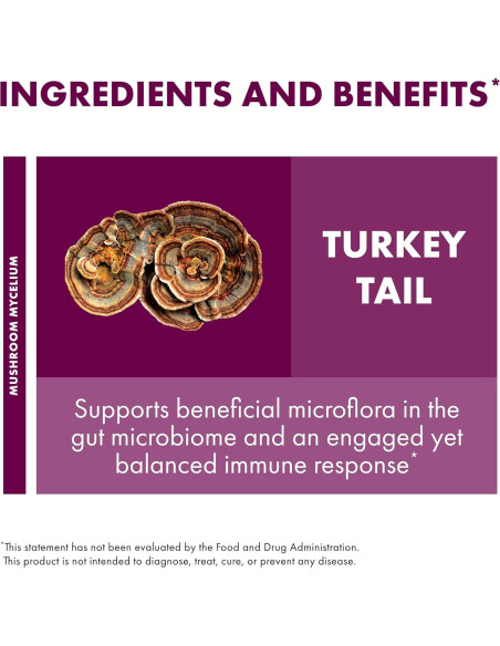 Polvo de Hongo Cola de Pavo Host Defense 99.22 g - Salud Digestiva