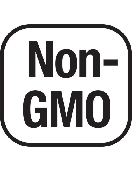 Now MSM 1000mg Cápsulas Veganas 400 Conteo Suplemento Azufre