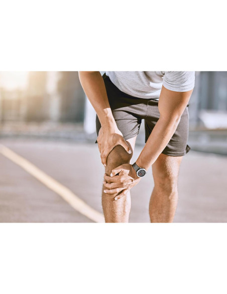 Cápsulas de Cissus Quadrangularis 365 Unidades Puras