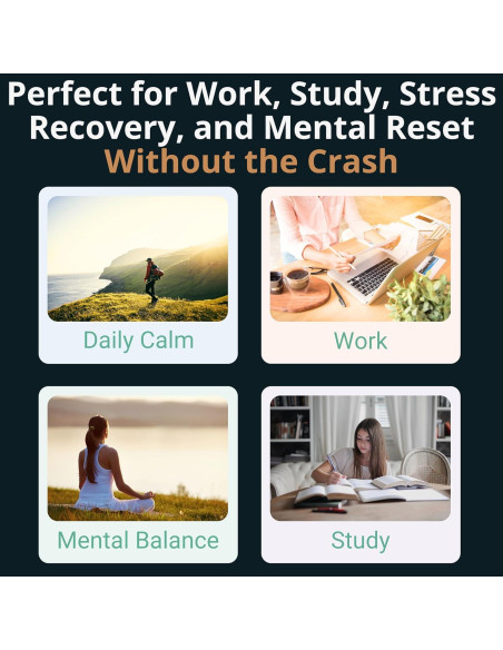 Gominolas Suplemento SHIZAM Bacopa Monnieri y L-Tirosina