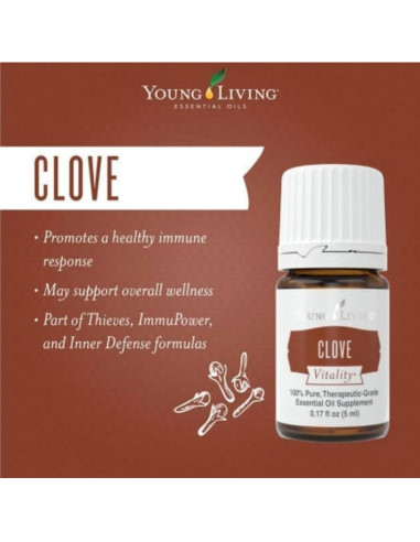 Aceite Esencial Clavo Vitality Young Living 5ml Antioxidante