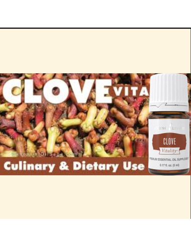 Aceite Esencial Clavo Vitality Young Living 5ml Antioxidante