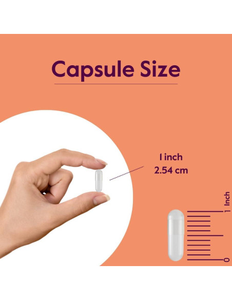 Glicina 1000mg Bestvite - 240 Cápsulas Vegetarianas Veganas