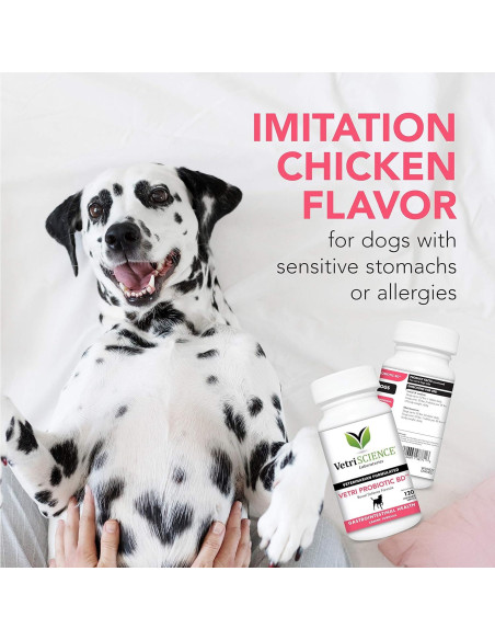 Suplemento Digestivo Masticable VetriScience para Perros 120g