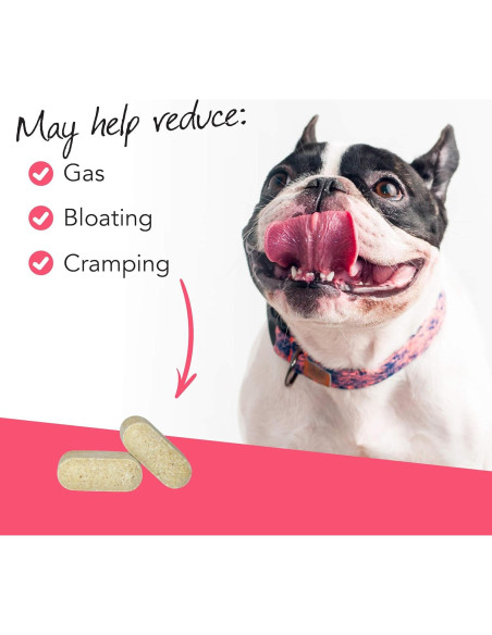 Suplemento Digestivo Masticable VetriScience para Perros 120g