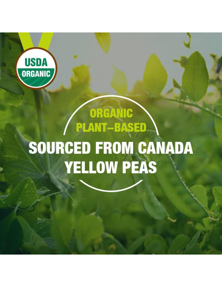 Proteína de Guisante Orgánica Zammex 1.19kg - 26g Proteínas