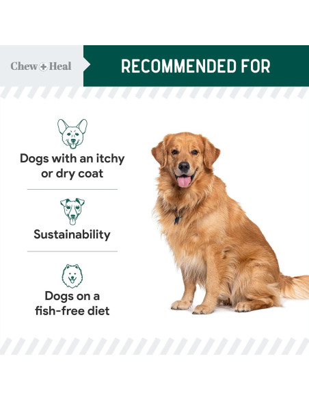 Aceite Omega 3 Vegano Chew + Heal 113.4 g para Perros