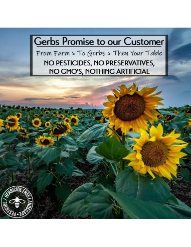 Harina de Semilla de Girasol Gerbs 453g - Libre de Alérgenos