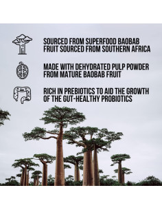 Suplemento de Fibra en Polvo Orgánico Naked 300g 2