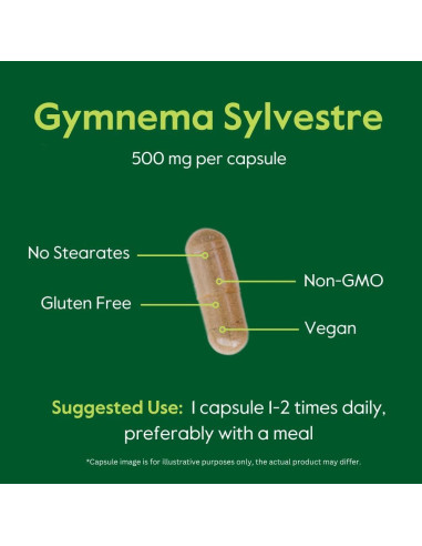 Suplemento Gymnema Sylvestre 500mg Bestvite 120 Cápsulas Veganas