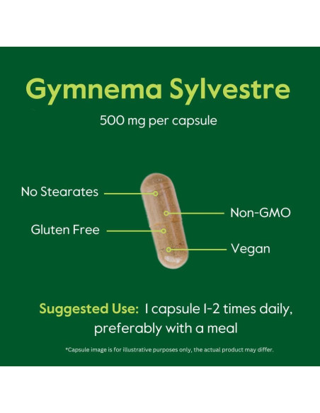 Suplemento Gymnema Sylvestre 500mg Bestvite 120 Cápsulas Veganas