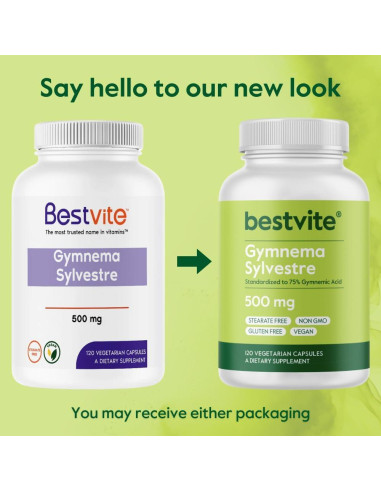 Suplemento Gymnema Sylvestre 500mg Bestvite 120 Cápsulas Veganas