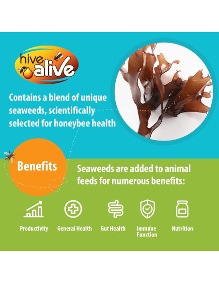 Fondant para Abejas HIVE ALIVE 0.99kg - Suplemento Nutricional