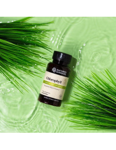 Clorofila Nature's Sunshine 60 Cápsulas Blandas Digestión Inmunidad 2