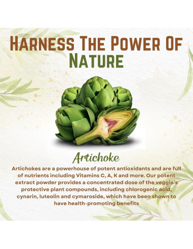 Go Nutra Extracto de Alcachofa en Polvo 113.4g - 5% Cinarina