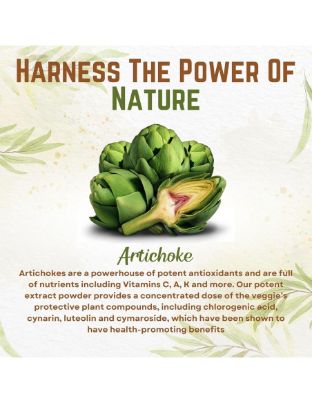 Go Nutra Extracto de Alcachofa en Polvo 113.4g - 5% Cinarina