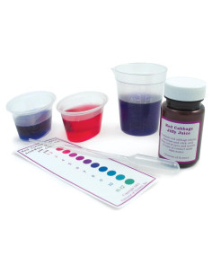 Extracto de Repollo Rojo Innovaciones Educativas pH 19L