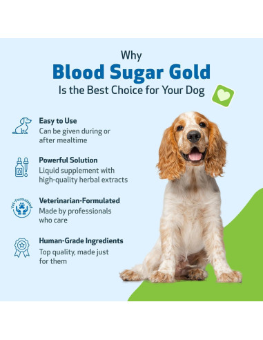 Suplemento Líquido Pet Wellbeing Blood Sugar Gold 59 ml