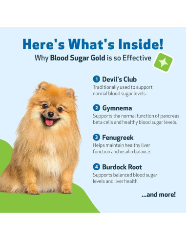 Suplemento Líquido Pet Wellbeing Blood Sugar Gold 59 ml