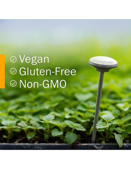 Extracto Líquido de Devil&#039;s Club Herb Pharm - 29.57 ml