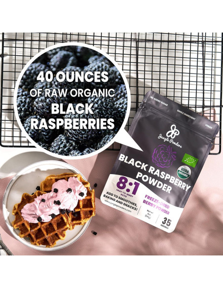 Polvo de Frambuesa Negra Jungle Powders 100g - Suplemento Orgánico