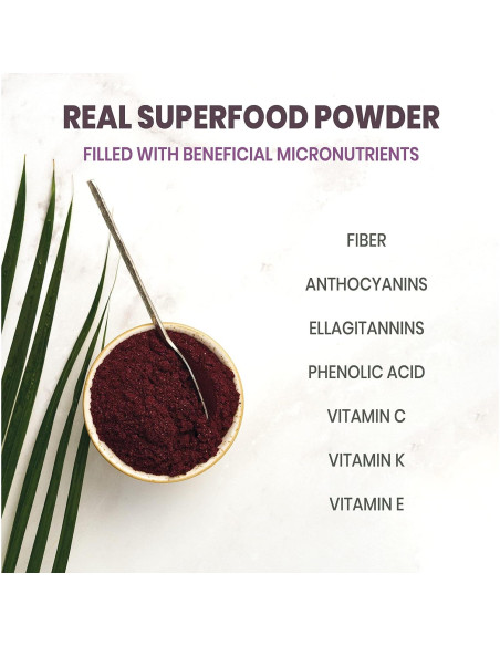 Polvo de Frambuesa Negra Jungle Powders 100g - Suplemento Orgánico